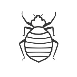 Bed Bug extermination pest control in northwest montana flathead valley kalispell