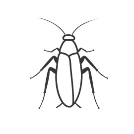 Cockroach extermination pest control in northwest montana flathead valley kalispell