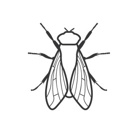 flies extermination pest control in northwest montana flathead valley kalispell
